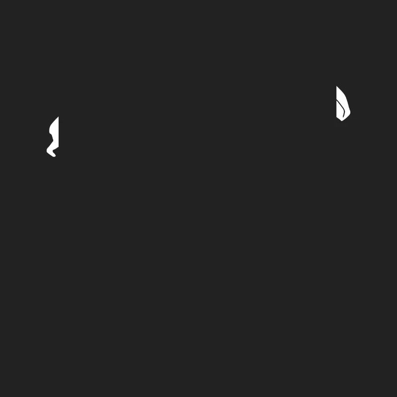 Wingfoil-Surfer Wingfoiling-Board Evolution