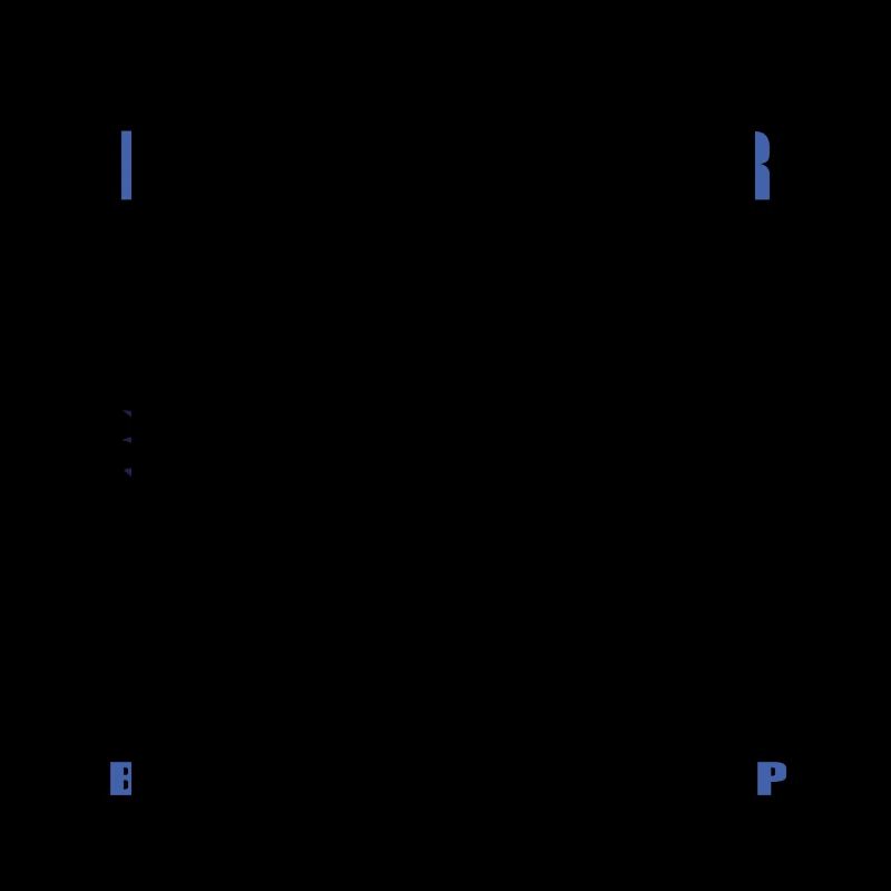 I are programmer, working cat