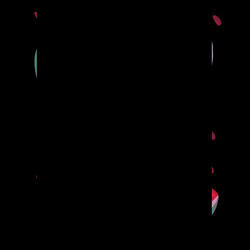 Quartier de la pastèque