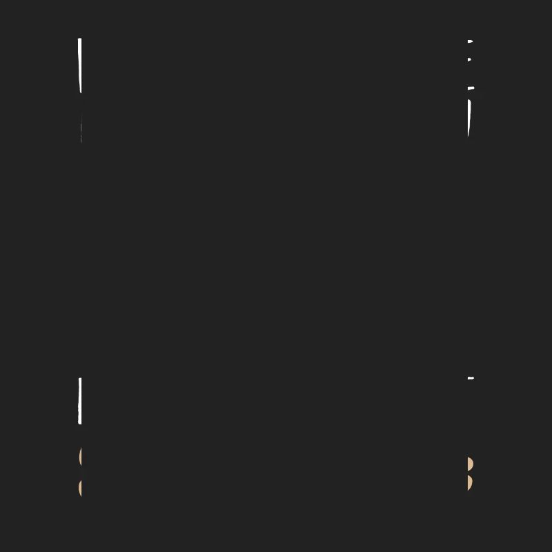 Ball Python Schlange Königspython