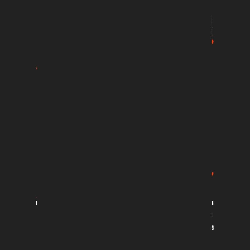 Ball Python Snake King Python