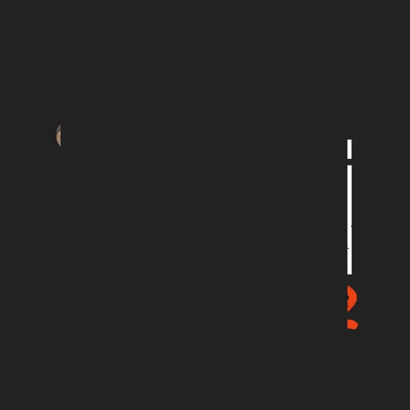 Ball Python Snake King Python