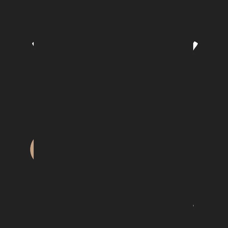 Ball Python Schlange Königspython