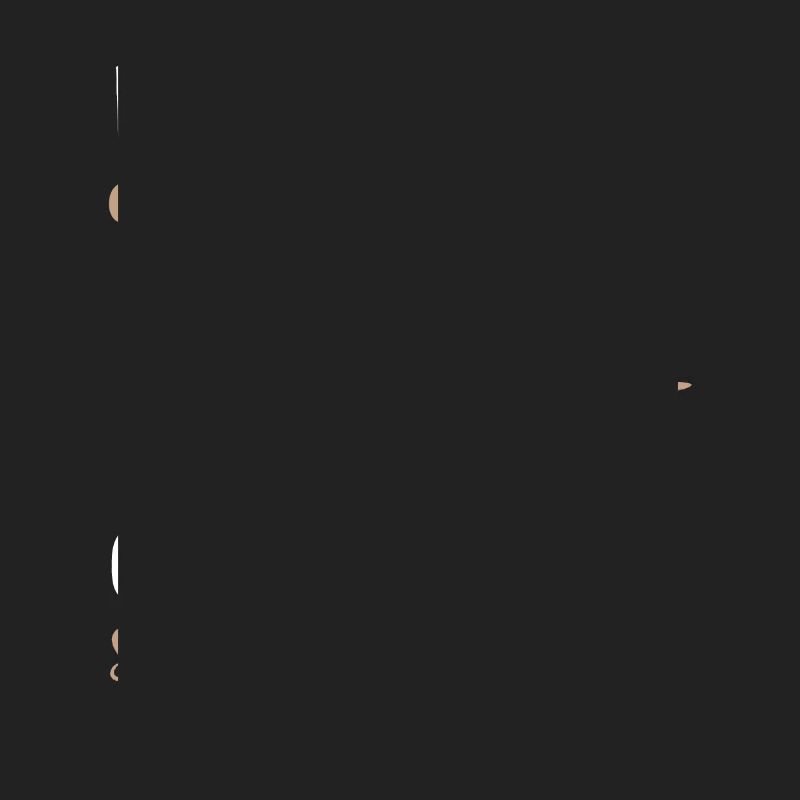 Ball Python Snake King Python