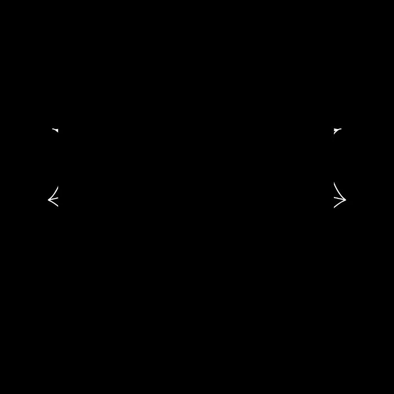 Spinne