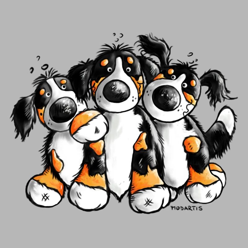 Drollige Berner Sennenhunde
