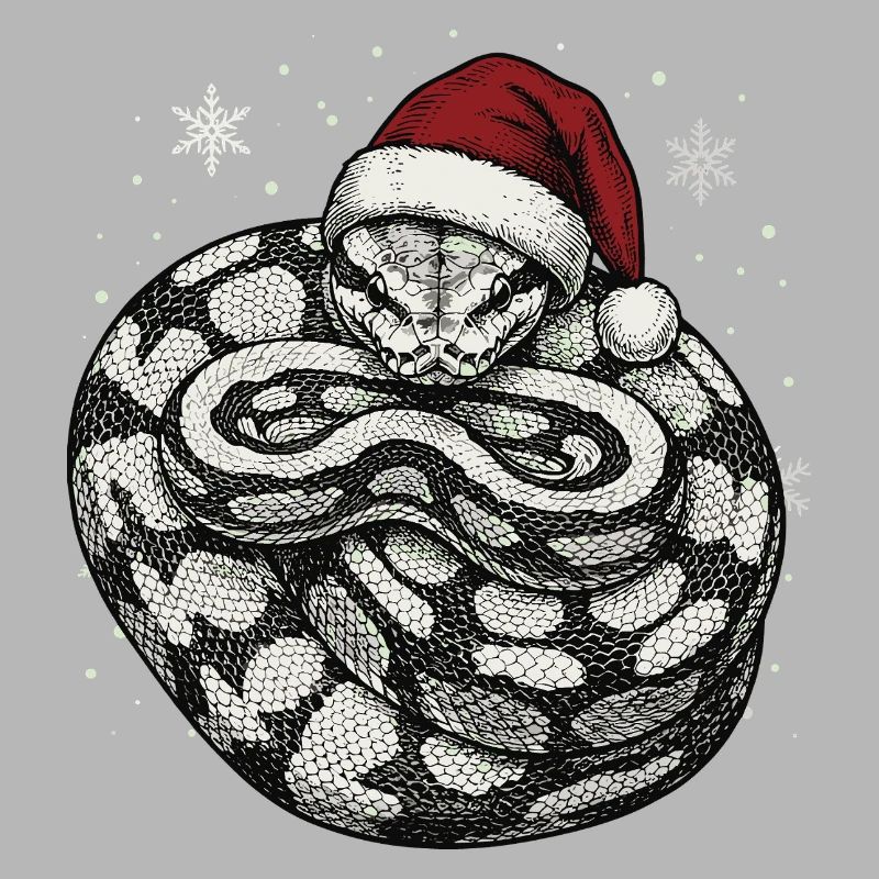 Serpent roi python roi de Noël Python boule