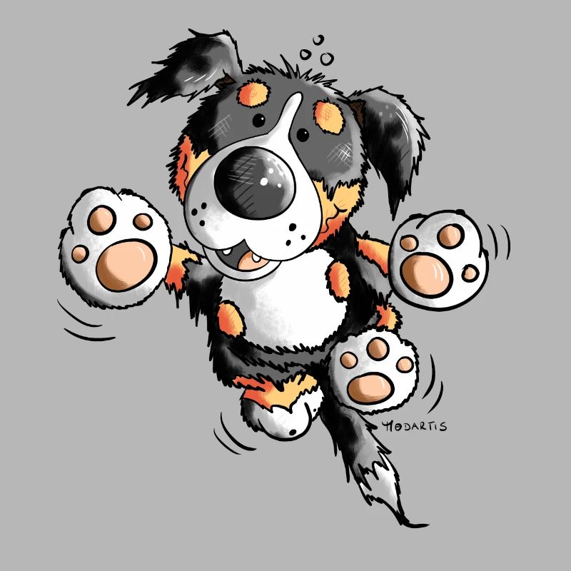 Brain der Berner Sennenhund