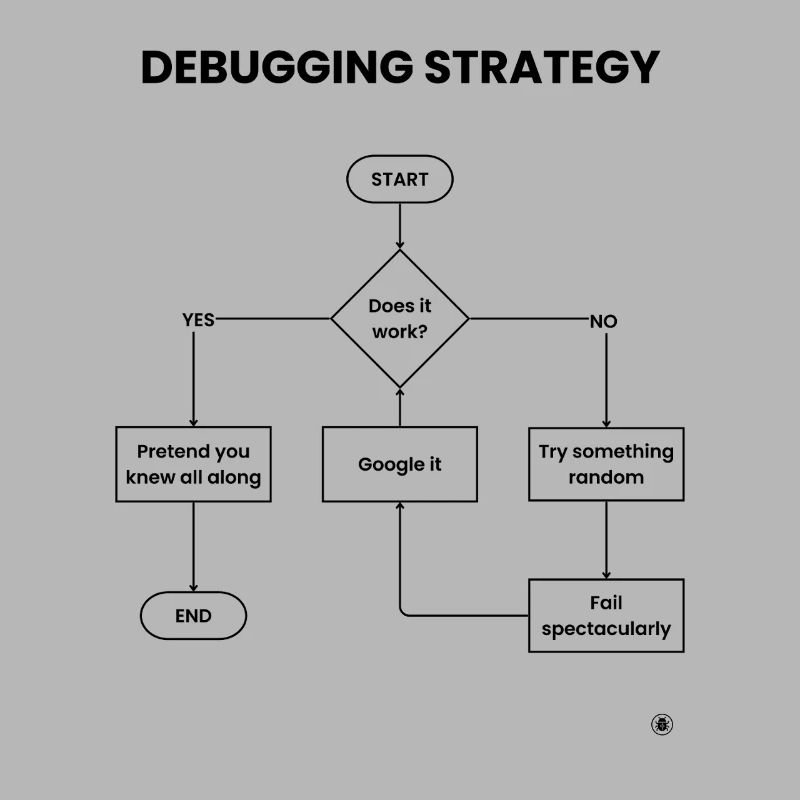 Debugging Strategy Flowchart - Does It Work Gift