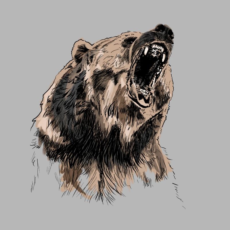 bear