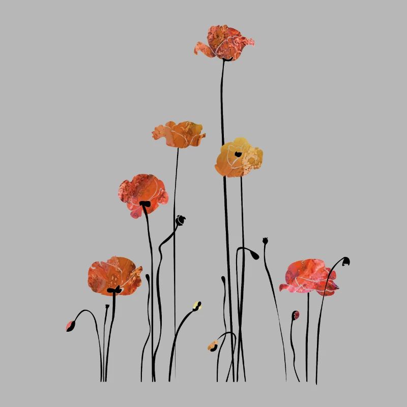 Mohnblume Klatschmohn