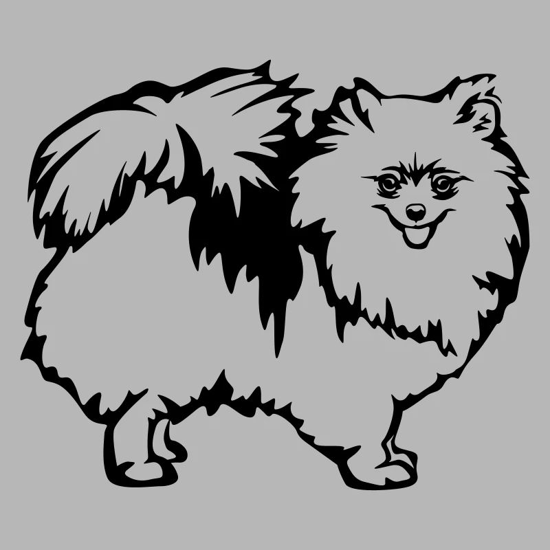 Spitz nain
