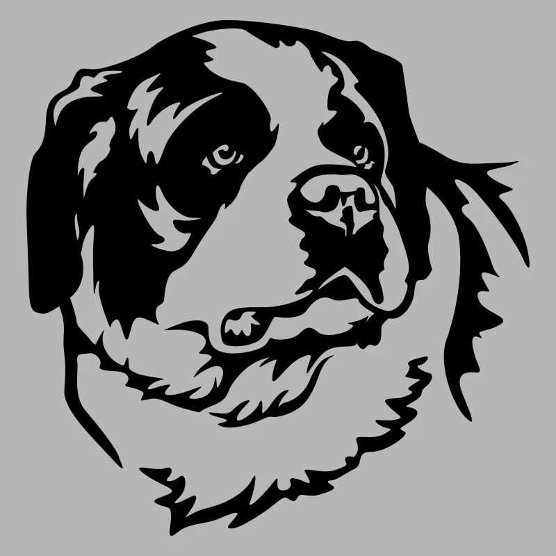 St. Bernard's Head