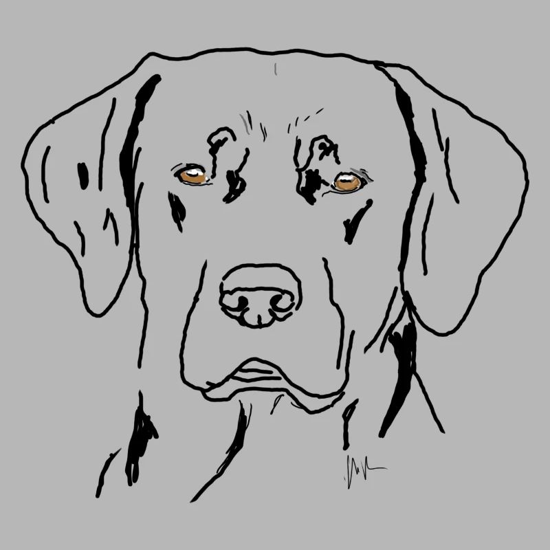 Labrador