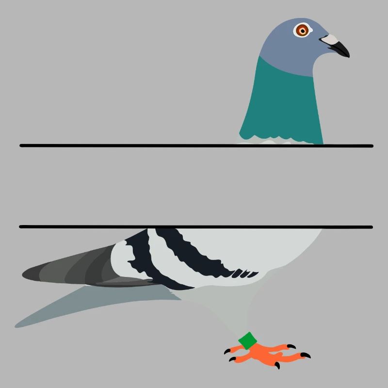 Pigeon with blank text bar between them to create your own name
