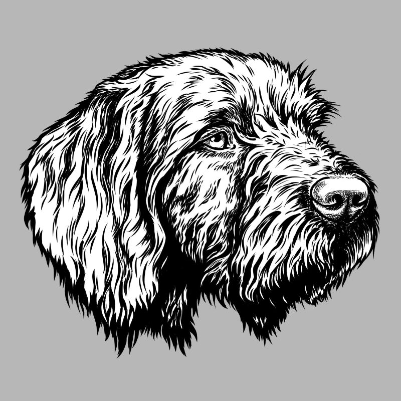 Pudelpointer Portrait