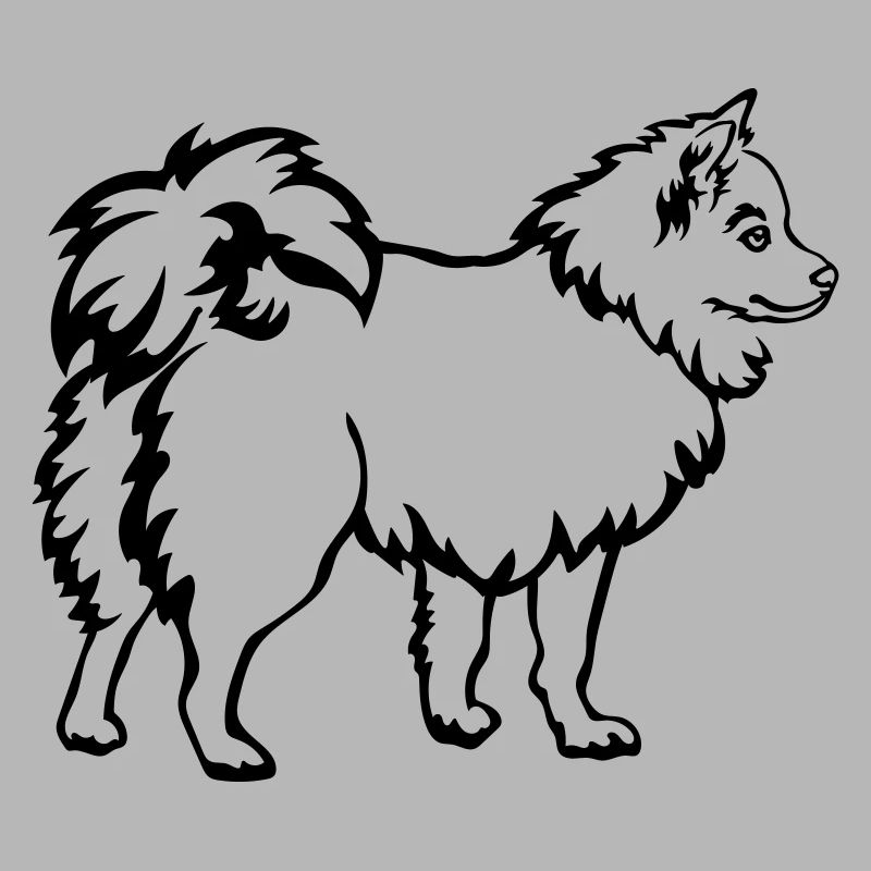 Spitz