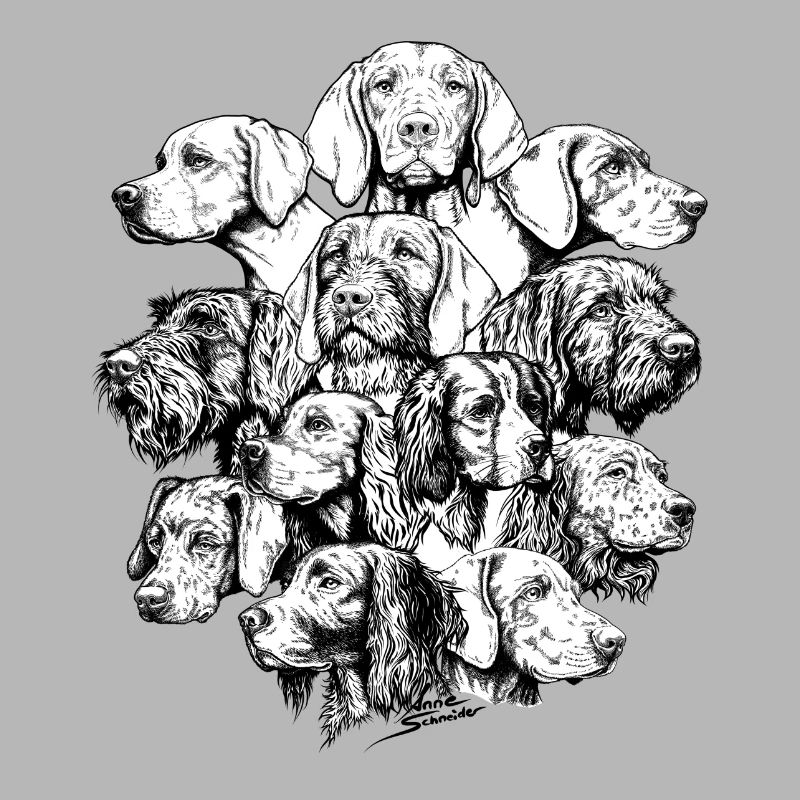 Chiens pointant des objets cachés