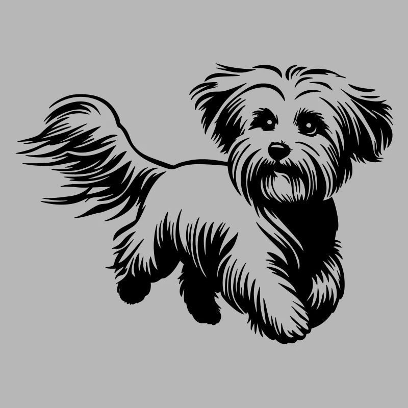 Maltese