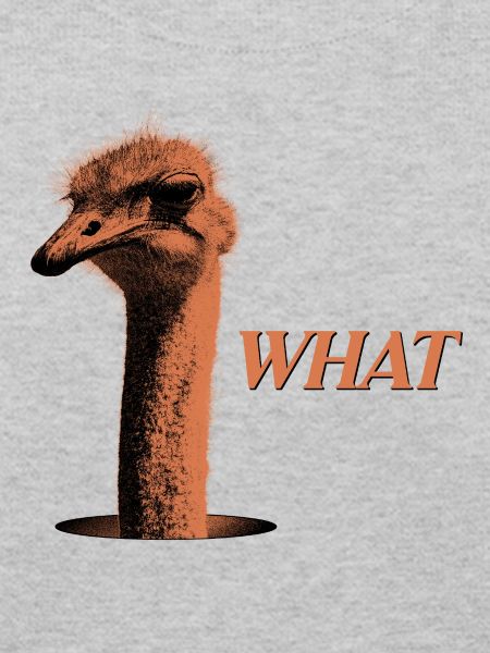 What?! – Grummelnder Strauß