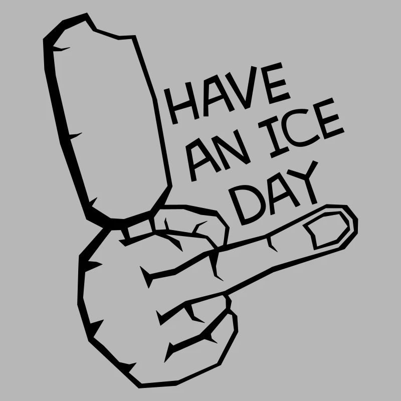 HAV E NICE DAY