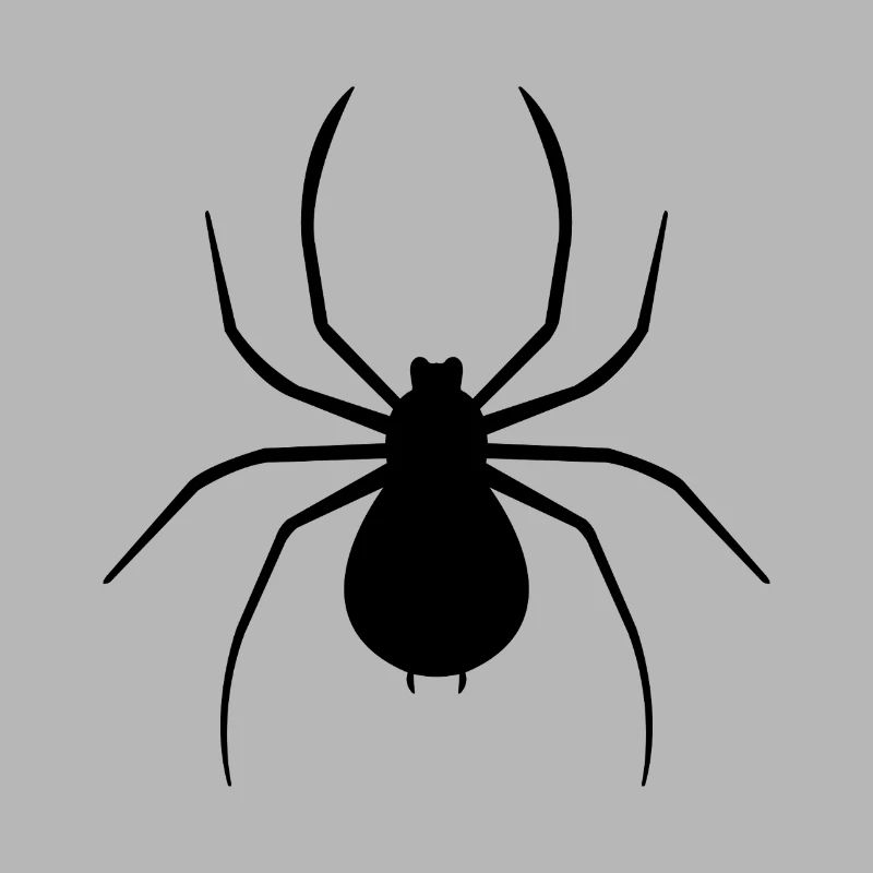 araignée