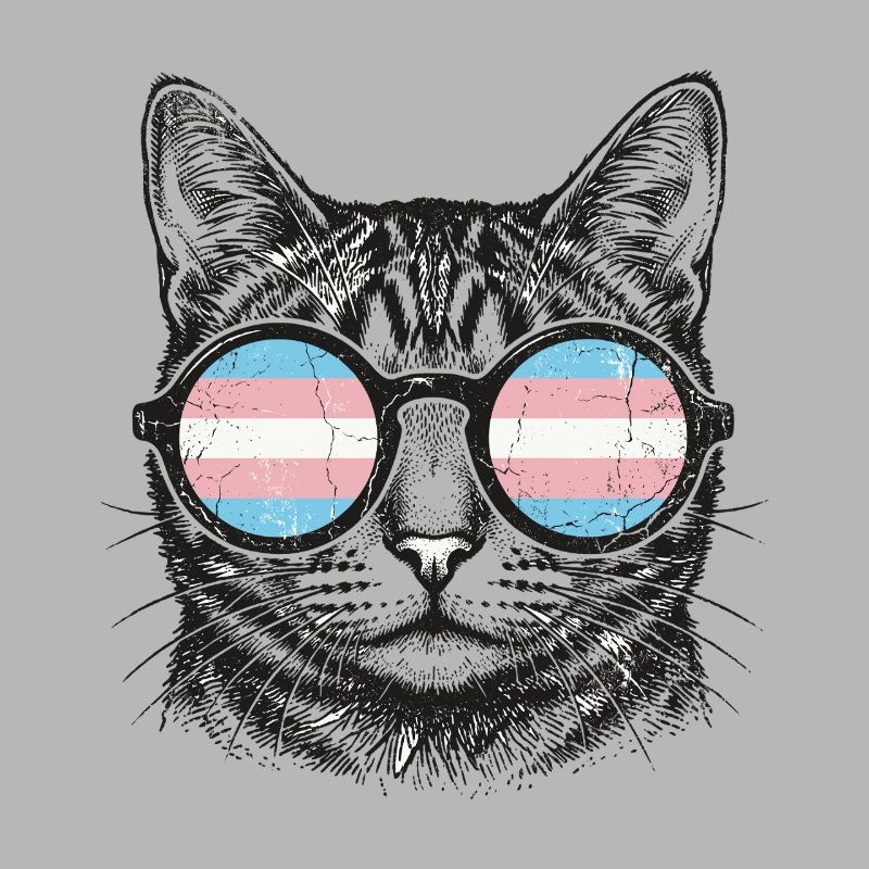 LGBT-Pride-Monat – Trans-Pride-Katze