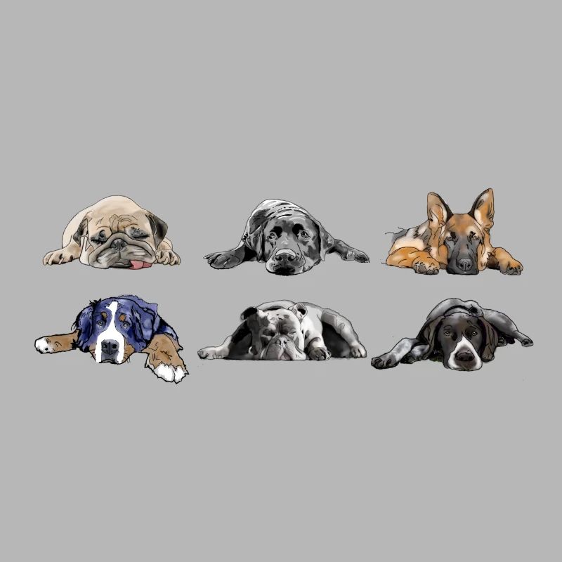 Mops Labrador Schäferhund Berner Bulldog Pointer
