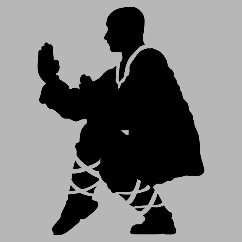 Kung fu Shaolin