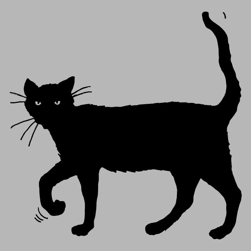 Black cat