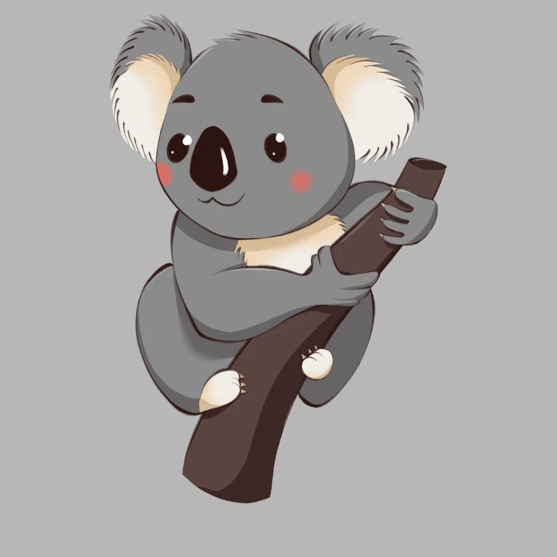 Koala