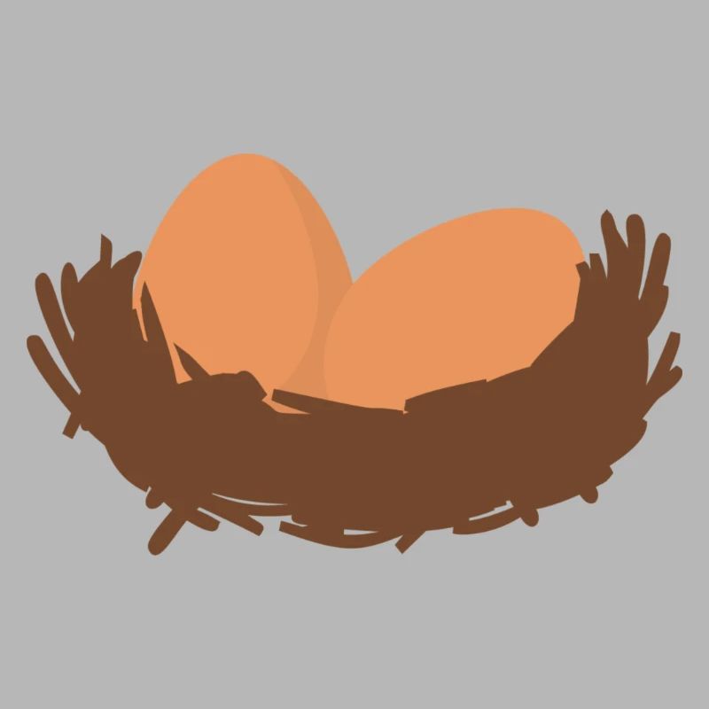 Eggs Nest Egg Easter