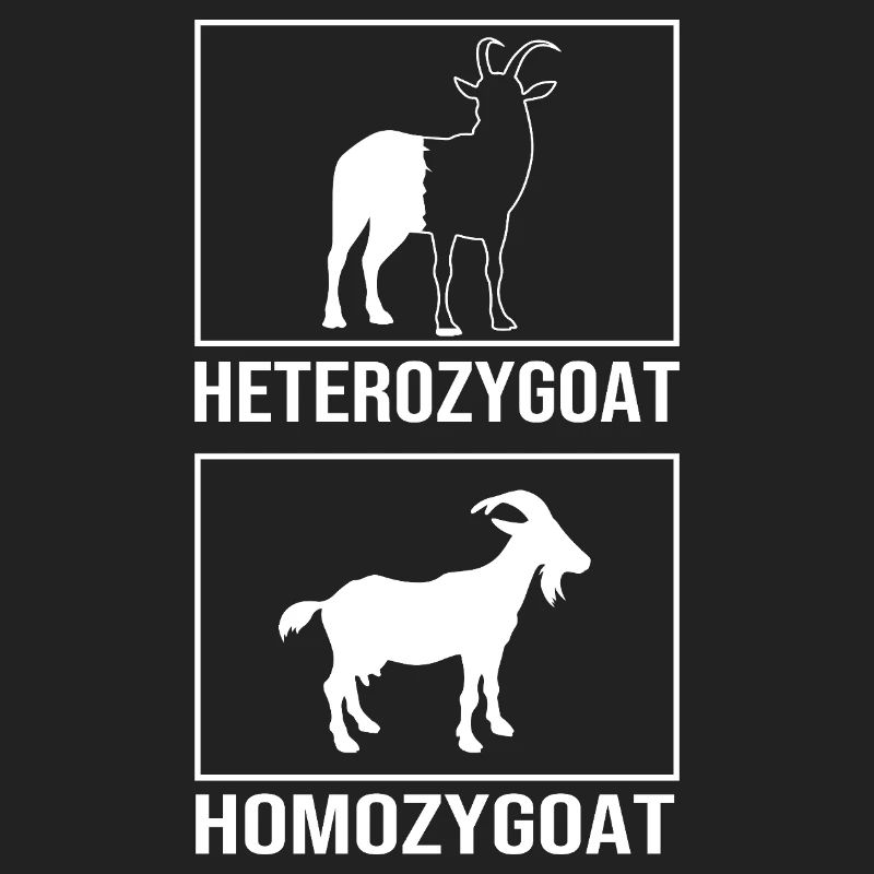 Molecule Structural Formula