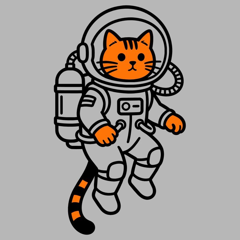 Le chat dans l’espace