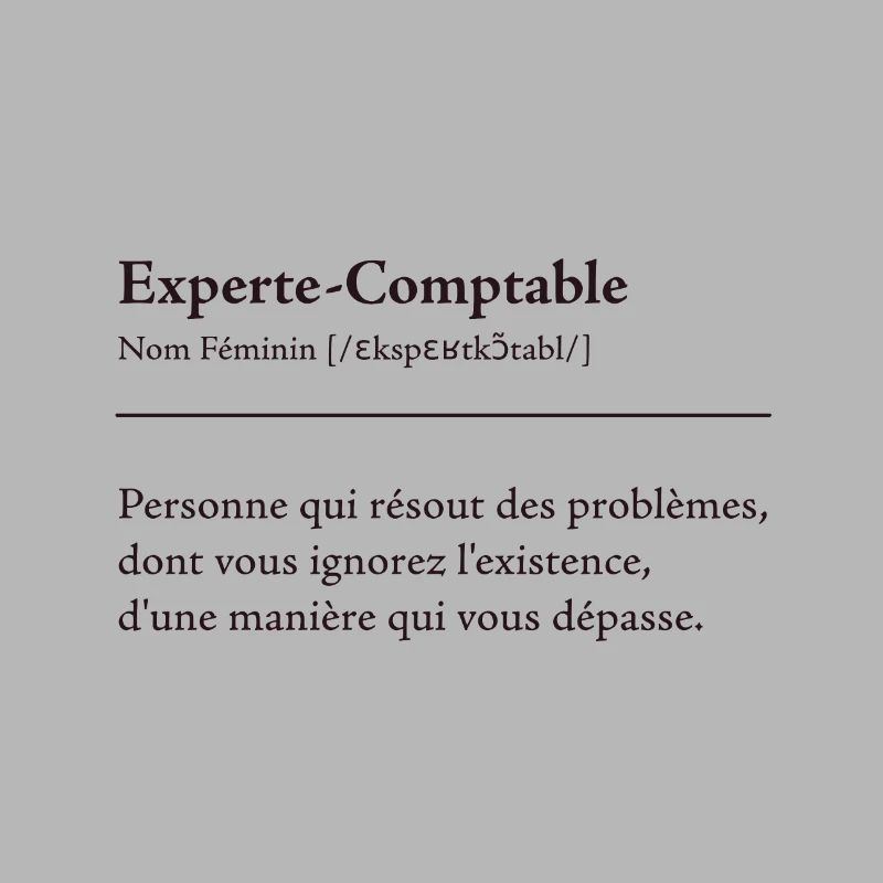 Experte Comptable Definition