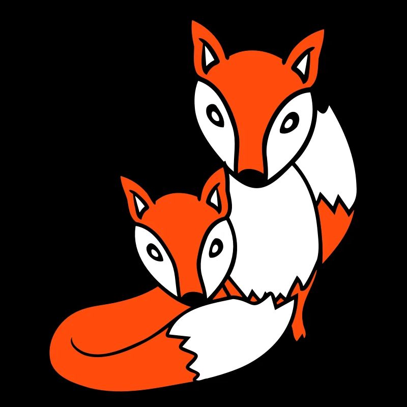 2 Füchse Freunde Rotfuchs Zwei Wilde Tiere Team
