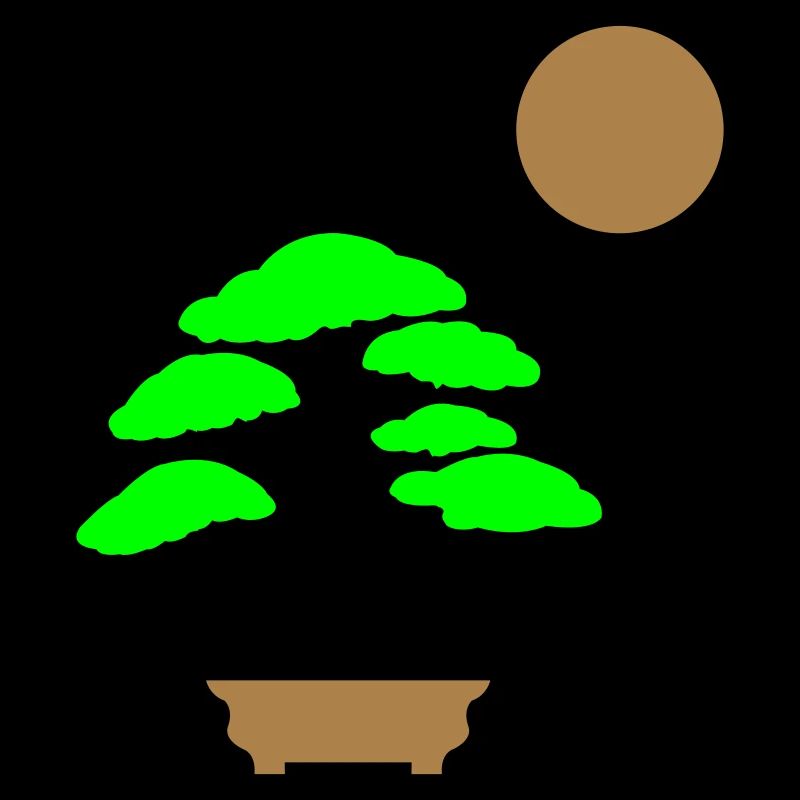 Bonsai Tree Sun