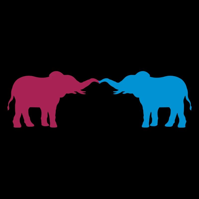 2 elephants in love couple