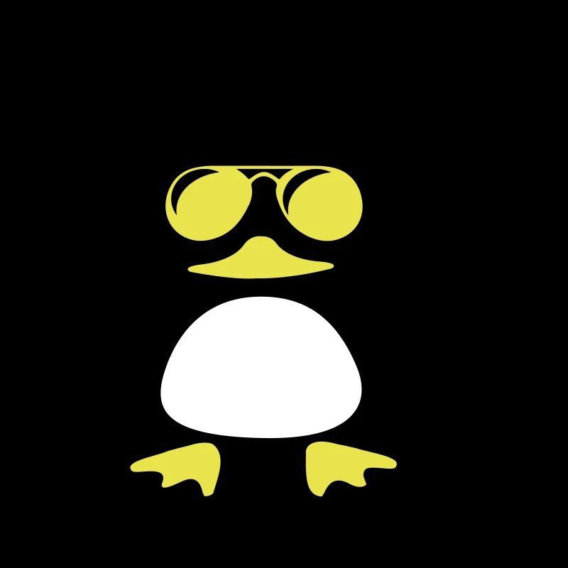 Canard de plage