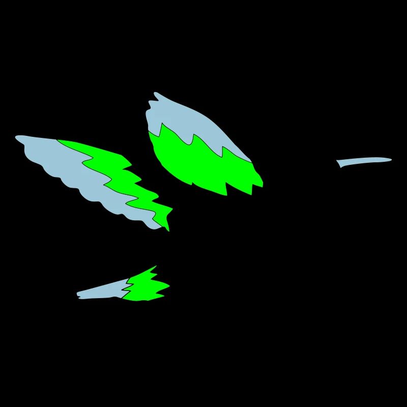 hummingbird