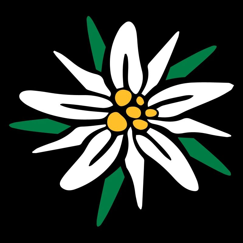 Edelweiss