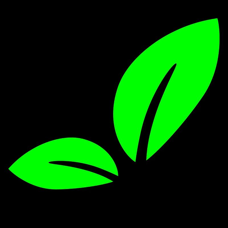 2 Green Beautiful Leaves Eco Spring Summer Nature