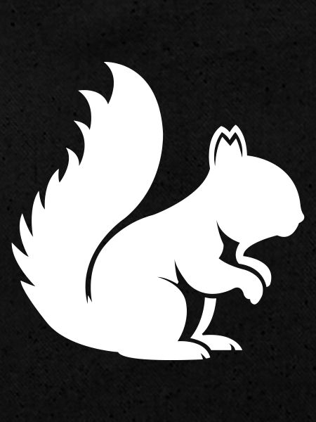 squirrel
