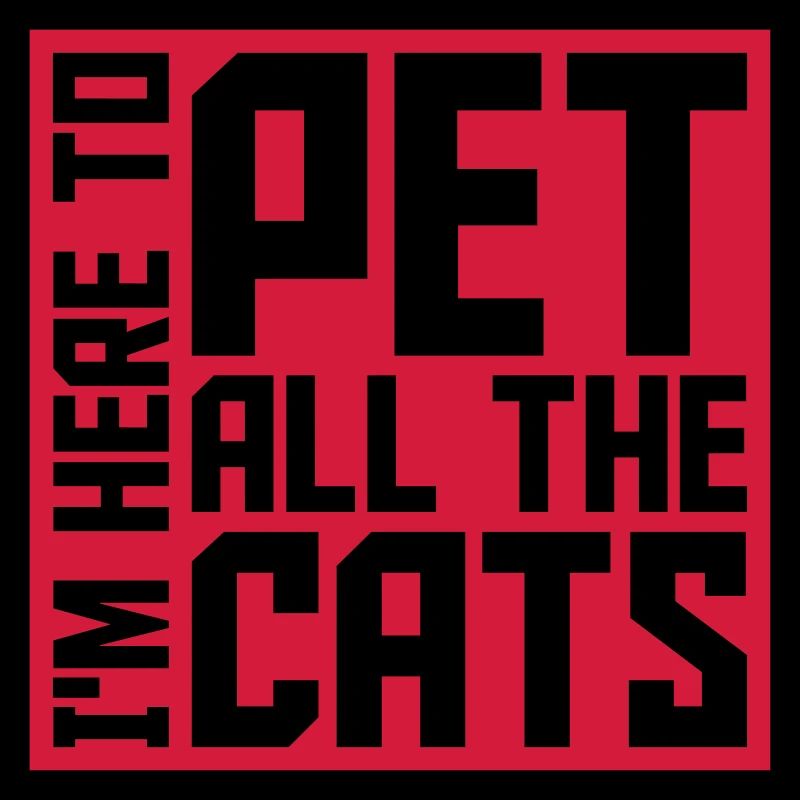Animaux de compagnie tous les chats