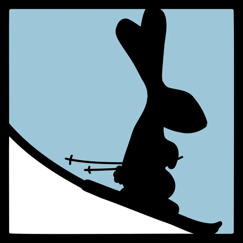 Rabbit Ski Bunny Skiing Winter Skiing Snow