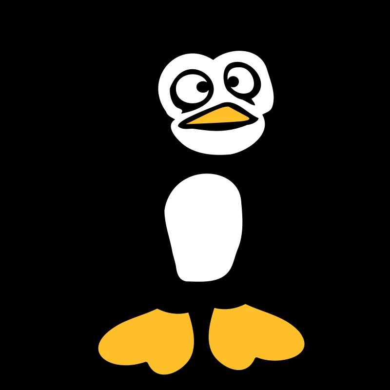 Pinguin guckt verwirrt dumm komisch Grimasse Blick