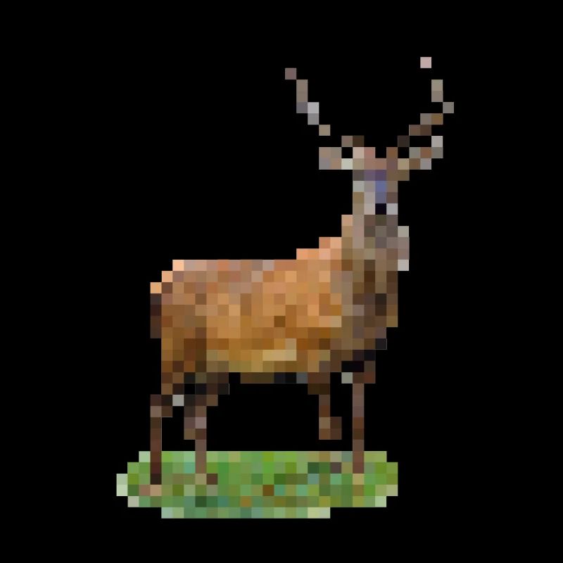 Pixel Hirsch