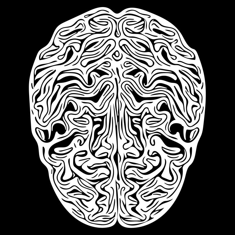 Brain - Anatomical Vector
