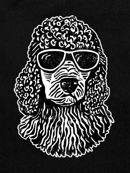 Poodle