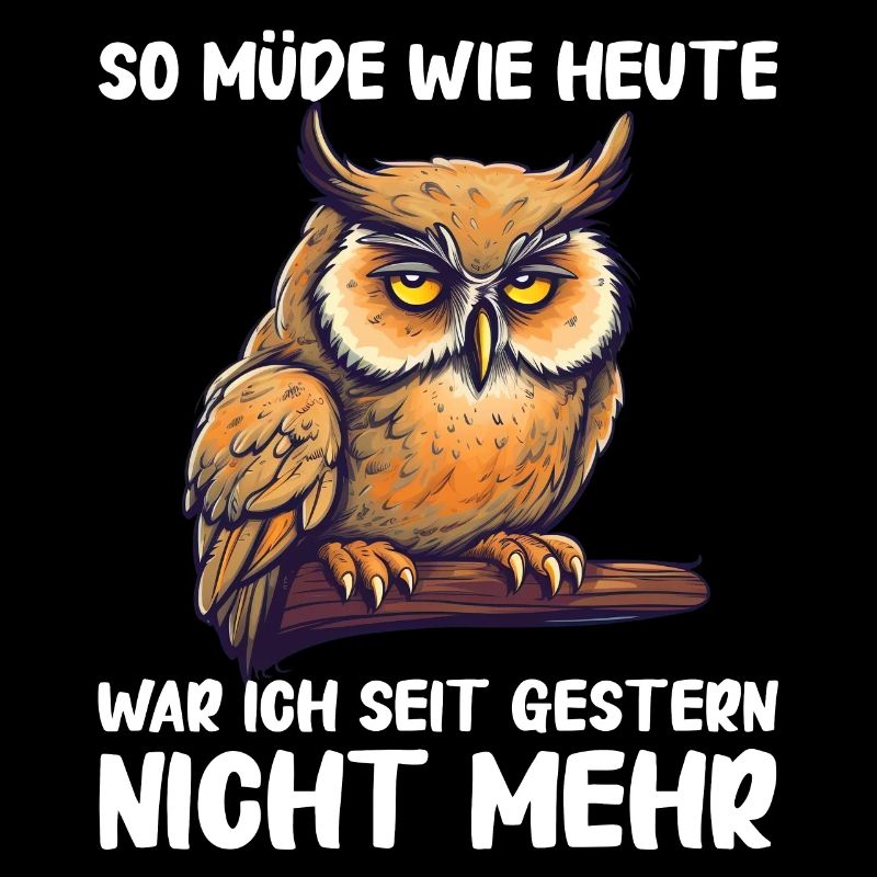 Nachteule Eule Eulen Vogel